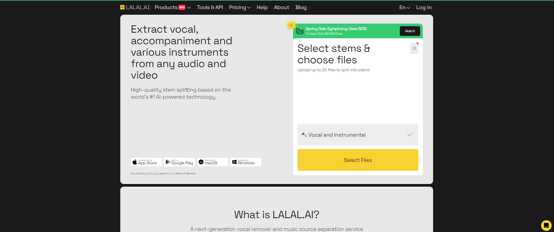 How to Remove Vocals Online with AI