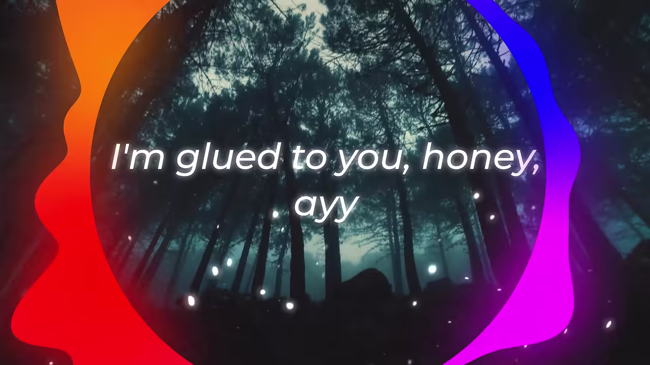 Midnight Forest Lyrics